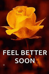 Feel Better Soon Yellow Roses GIF
