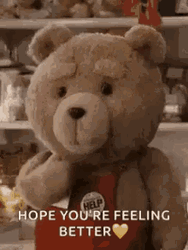 Feel Better Ted Bear GIF
