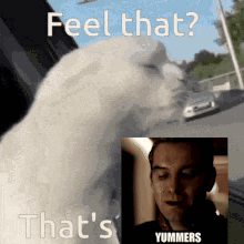 Feel That's Yummers GIF