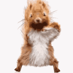 Feel The Beat Get Down GIF