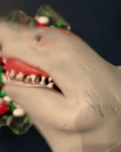 Feeling Blessed And Thankful This Thanksgiving Poster GIF