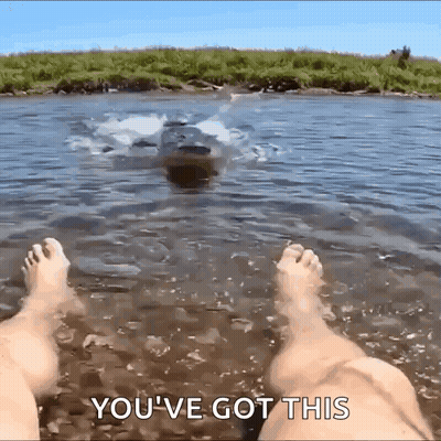 Feet In Water You've Got This GIF