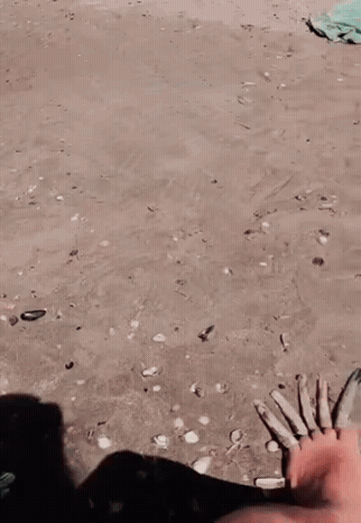 Feet Sticking Out Of Water Reaching GIF