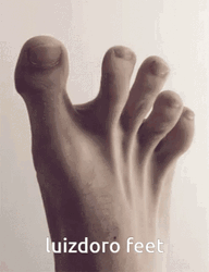 Feet Toes GIF