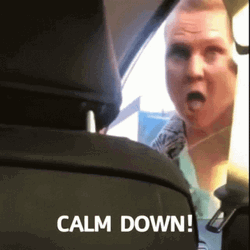 Feisty Karen Calm Down GIF