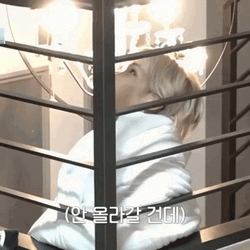 Felix Stray Kids Teasing Window GIF