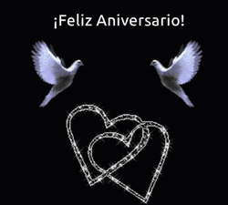 Feliz Aniversario De Bodas GIF