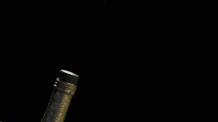 Feliz Año Nuevo 2024 GIF