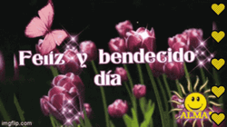 Feliz Bendecido Dia Beautiful Sunshine GIF