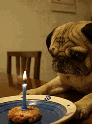Feliz Cumple GIF
