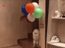 Feliz Cumpleaños Aesthetic GIF