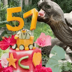 Feliz Cumpleaños Aesthetic GIF