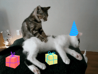 Feliz Cumpleaños Meme GIF