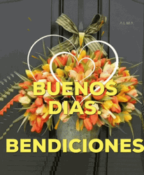Feliz Dia De Accion De Gracias Buenos Dias GIF