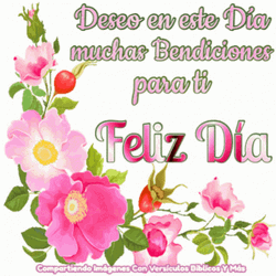 Feliz Dia De Accion De Gracias Feliz Dia  GIF