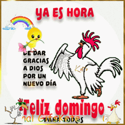 Feliz Dia De Accion De Gracias Funny Chicken  GIF