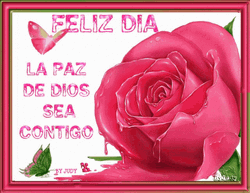 Feliz Dia De Accion De Gracias Sea Contigo Rose  GIF