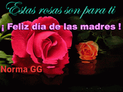 Feliz Dia De La Madre Sparkling Rose Reflection GIF