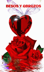 Feliz Dia De San Valentin Besos GIF