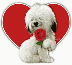Feliz Dia De San Valentin Dog GIF