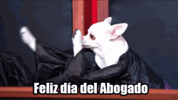 Feliz Dia Del Abogado GIF