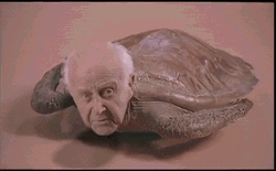 Feliz Día Del Abuelo GIF