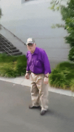 Feliz Día Del Abuelo GIF