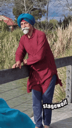 Feliz Día Del Abuelo GIF