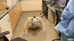 Feliz Dia Del Medico GIF