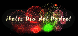 Feliz Dia Del Padre Fireworks Show  GIF