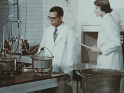 Feliz Dia Del Quimico GIF
