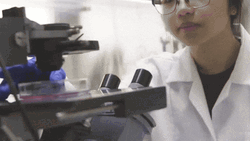 Feliz Dia Del Quimico GIF