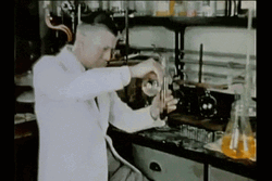 Feliz Dia Del Quimico GIF