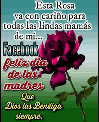 Feliz Die De Las Madres Flower Quote GIF