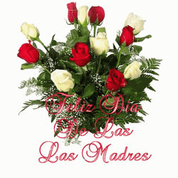 Feliz Die De Las Madres Roses Shining GIF