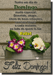 Feliz Domingo Butterflies On Flowers Design GIF