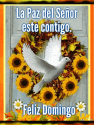Feliz Domingo Sunflowers And Dove Background GIF
