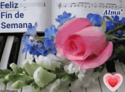 Feliz Fin De Semana GIF