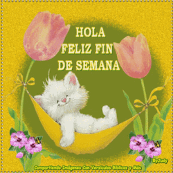 Feliz Fin De Semana GIF