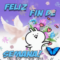 Feliz Fin De Semana GIF