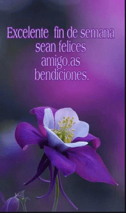 Feliz Inicio De Semana GIF