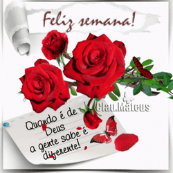 Feliz Inicio De Semana GIF