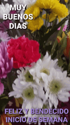 Feliz Inicio De Semana GIF