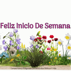 Feliz Inicio De Semana GIF