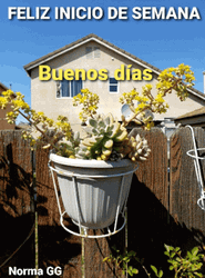 Feliz Inicio De Semana GIF