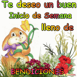 Feliz Inicio De Semana GIF