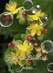 Feliz Jueves With Bubbles GIF