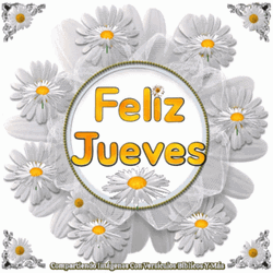 Feliz Jueves With Sparkling Daisy Flowers GIF