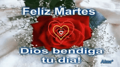 Feliz Martes Dios Bendiga Tu Dia Red Rose GIF