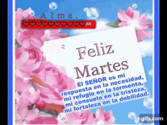 Feliz Martes GIF